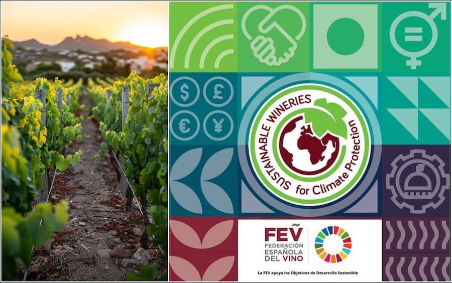 Sustainable Wineries for Climate Protection image